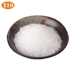 Monosodium Glutamat Bubuk Msg